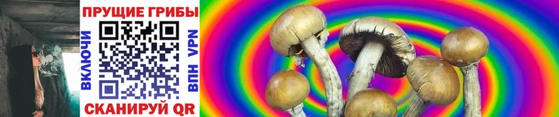 Псилоцибиновые грибы GOLDEN TEACHER Купить где Ардон